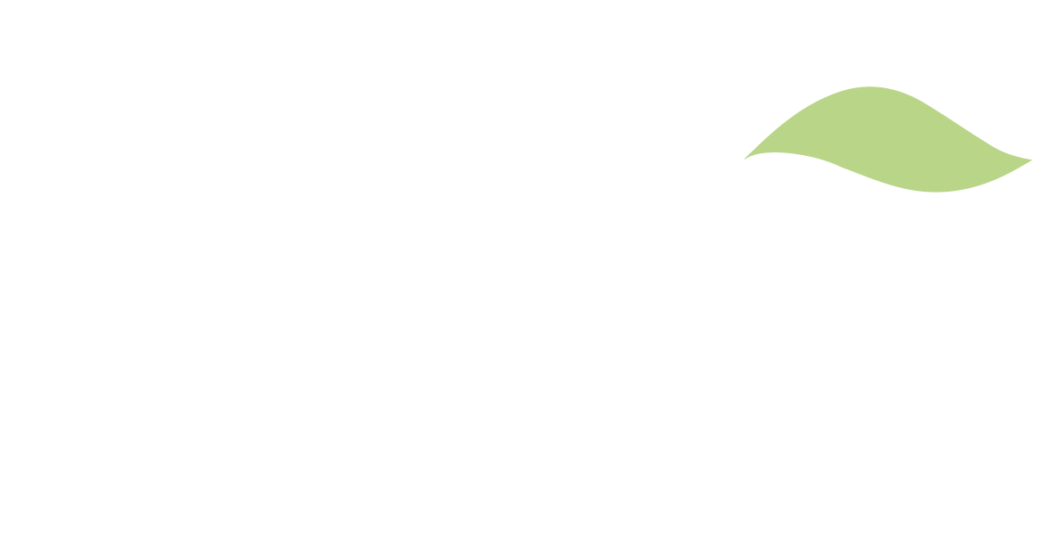 Apple for the Teacher
